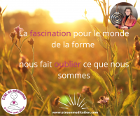 La fascination pour la forme nous fait oublier ce que nous sommes